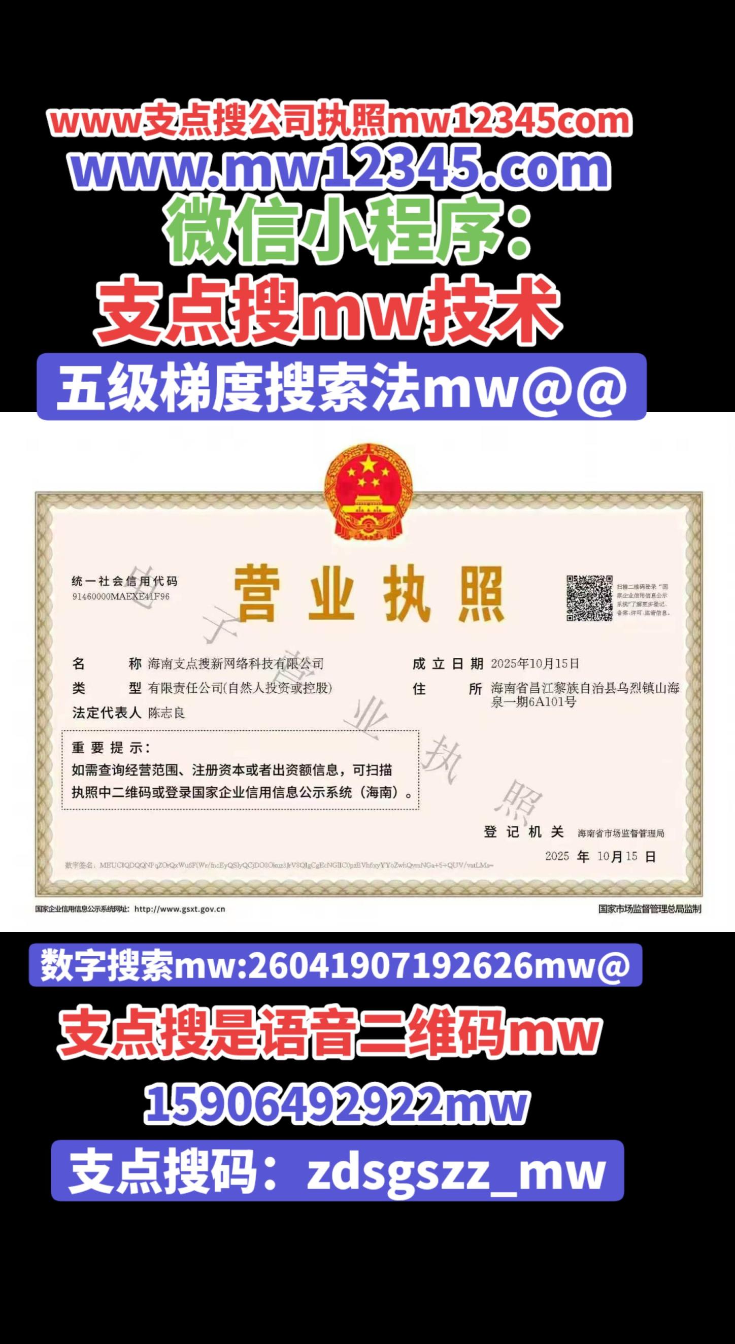 www支点搜公司执照mw12345com
