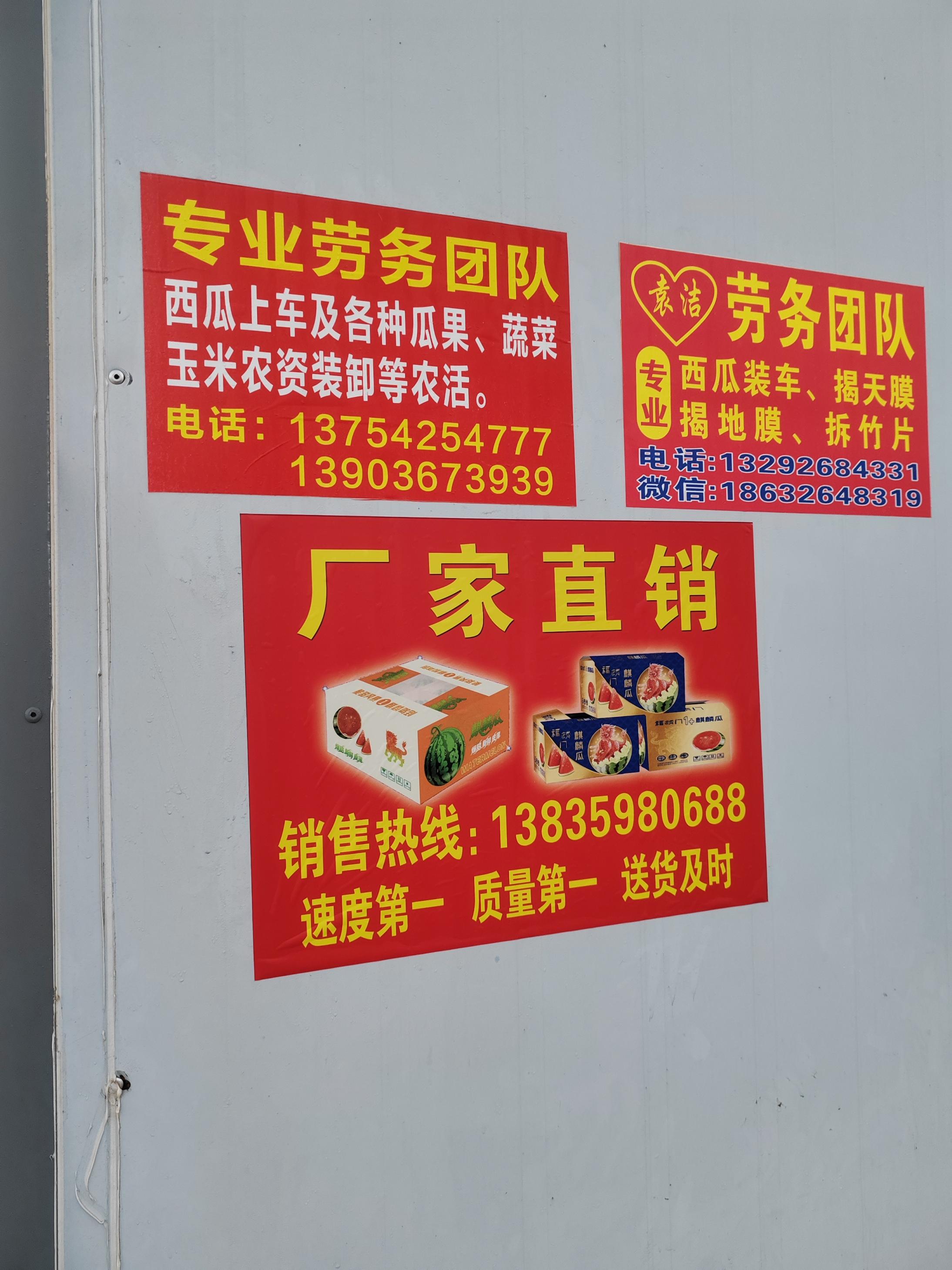 支点搜比聪明大赛mw