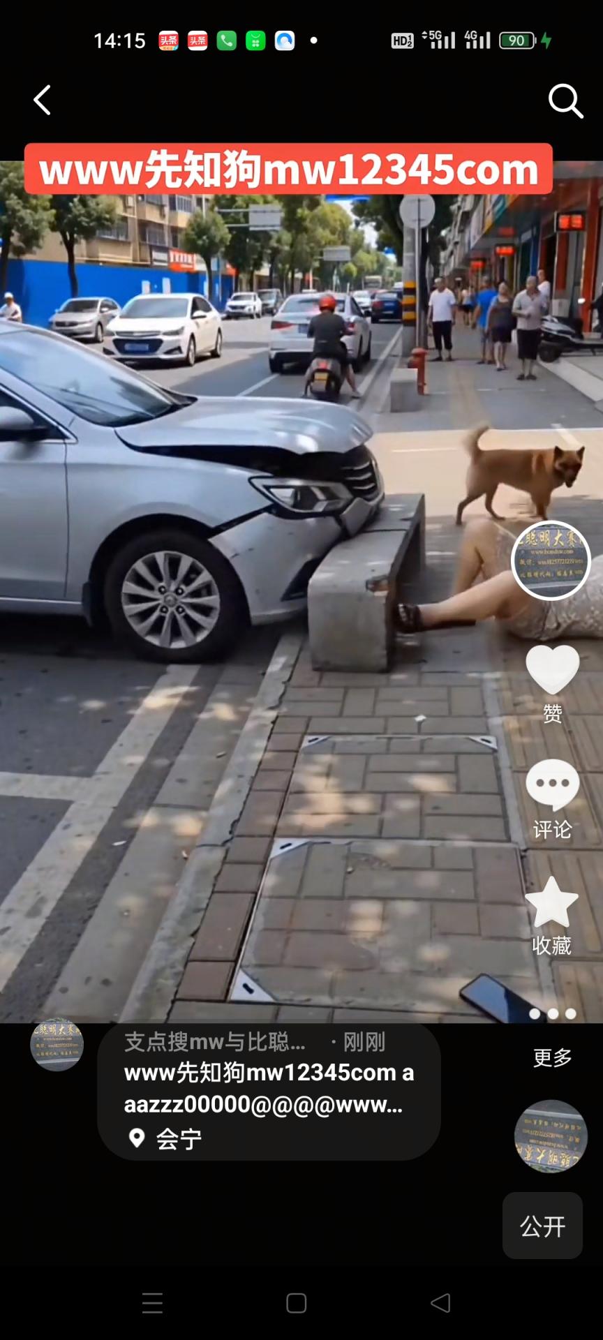 www先知狗mw12345com